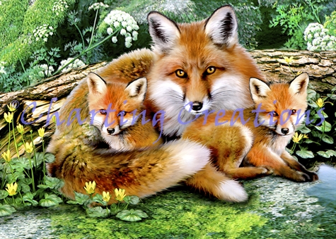 Foxes
